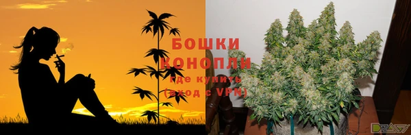 ГАЛЛЮЦИНОГЕННЫЕ ГРИБЫ Арсеньев