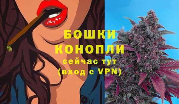 apvp Армянск
