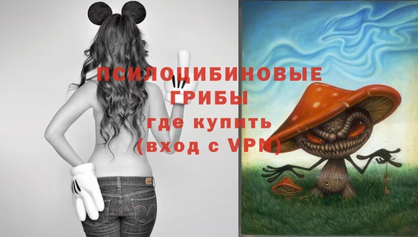прущие крисы Россошь