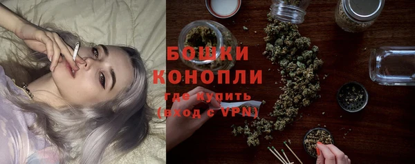 ГАЛЛЮЦИНОГЕННЫЕ ГРИБЫ Арсеньев